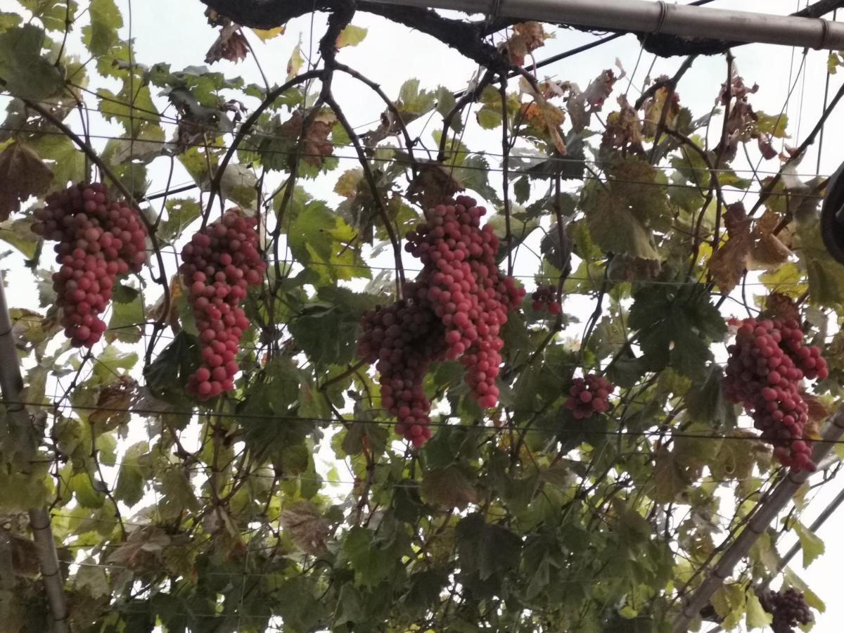 Възрожденски Комплекс Чардакъ Сопот Dış mekan fotoğraf